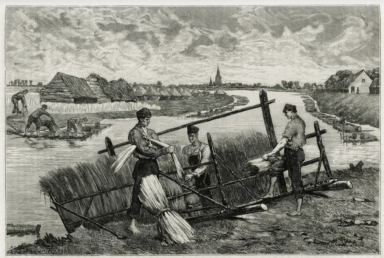 Rosten av lin (maceration för att underlätta separationen av barken från stammen) i Lys (floden norr om Frankrike och Belgien). Gravyr av Emile Claus, för att illustrera historien "" La Belgique"", av Camille Lemonnier (1844) -1913), författare och konstkr av Emile Claus