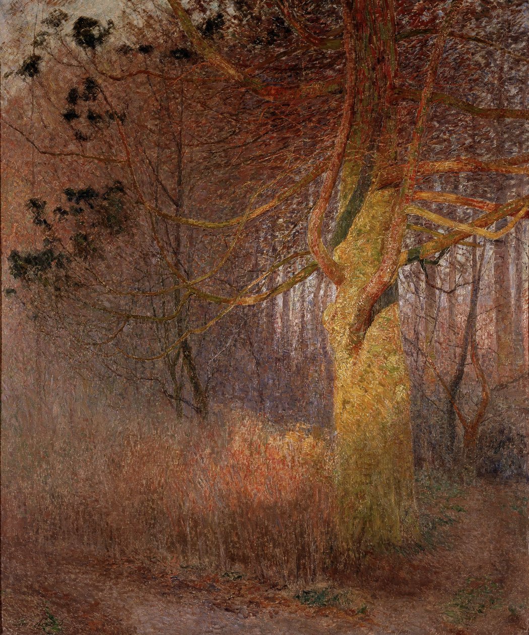 Soligt träd av Emile Claus