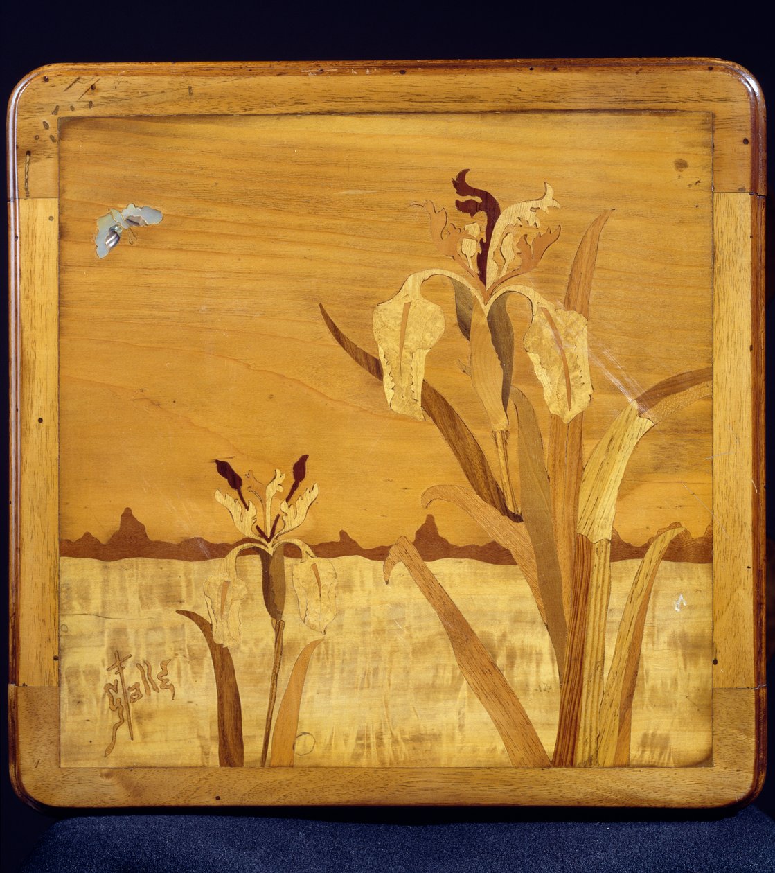 Bord i jugendstil, av Emile Galle (1846-1904), valnöt med fanerfinish och olika träslag, detalj, Frankrike, 1900-talet av Emile Galle