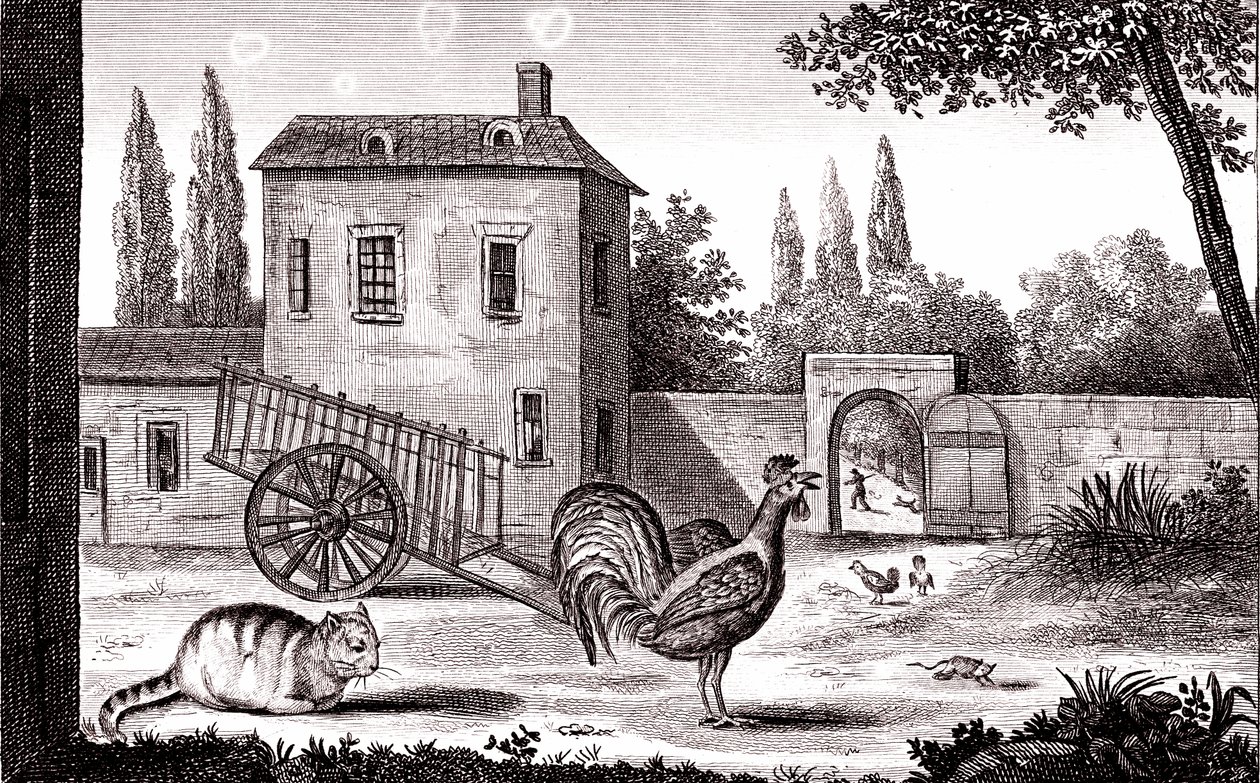 Tuppen, katten och musen, Fabel av La Fontaine av Emile Joseph Alexandre Gouget