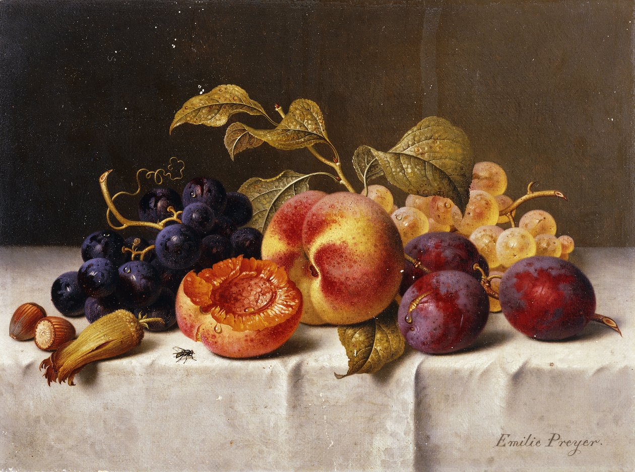 Vindruvor, persikor, plommon och nötter på ett draperat bord av Emilie Preyer
