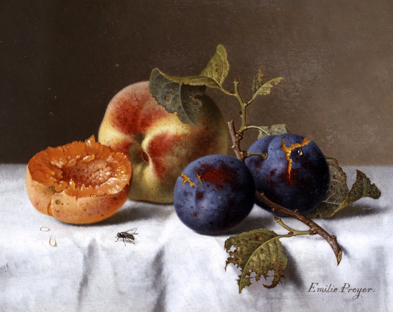  av Emilie Preyer