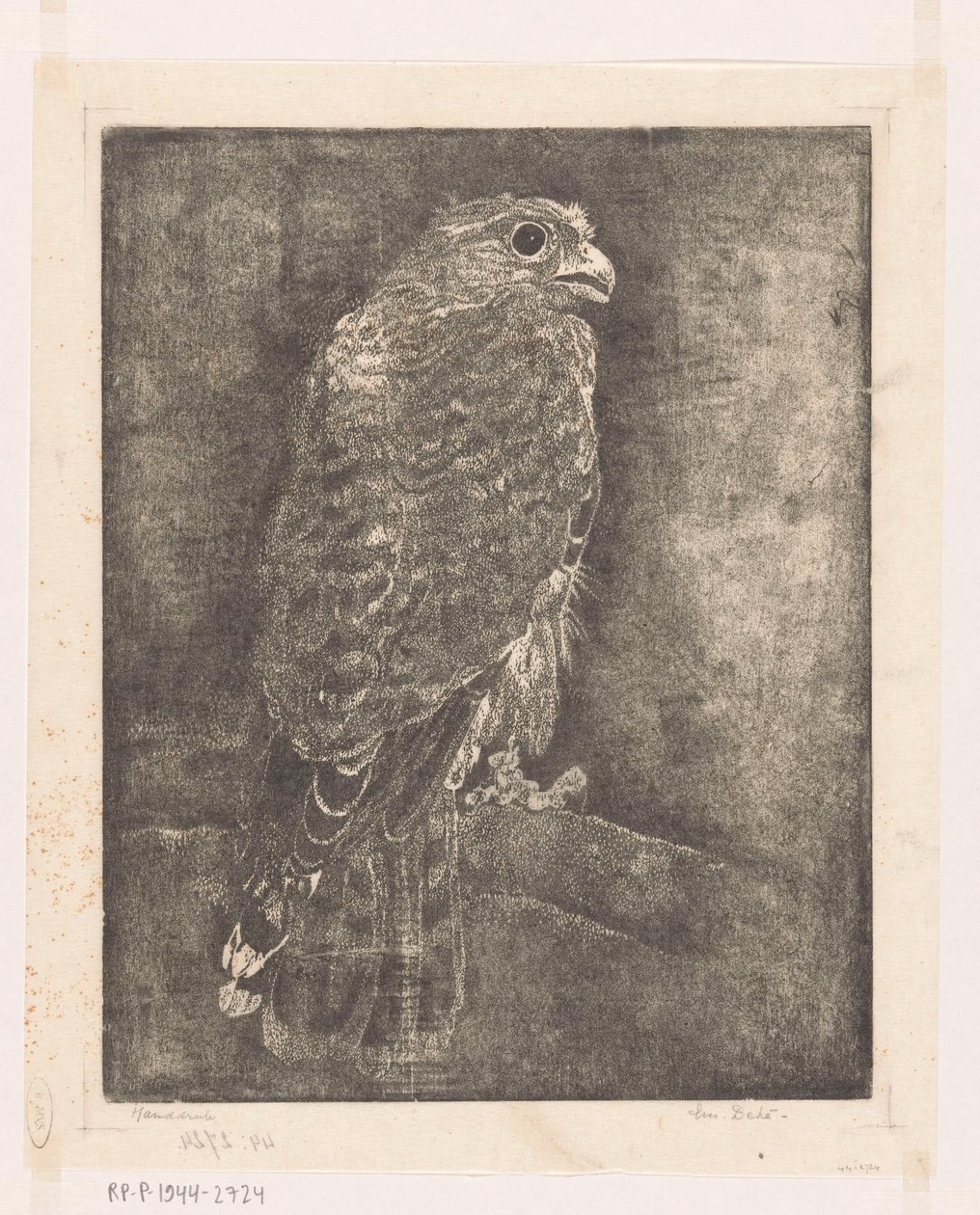 Falk på en gren av Emilius Wilhelmus Dehé (signed by artist)