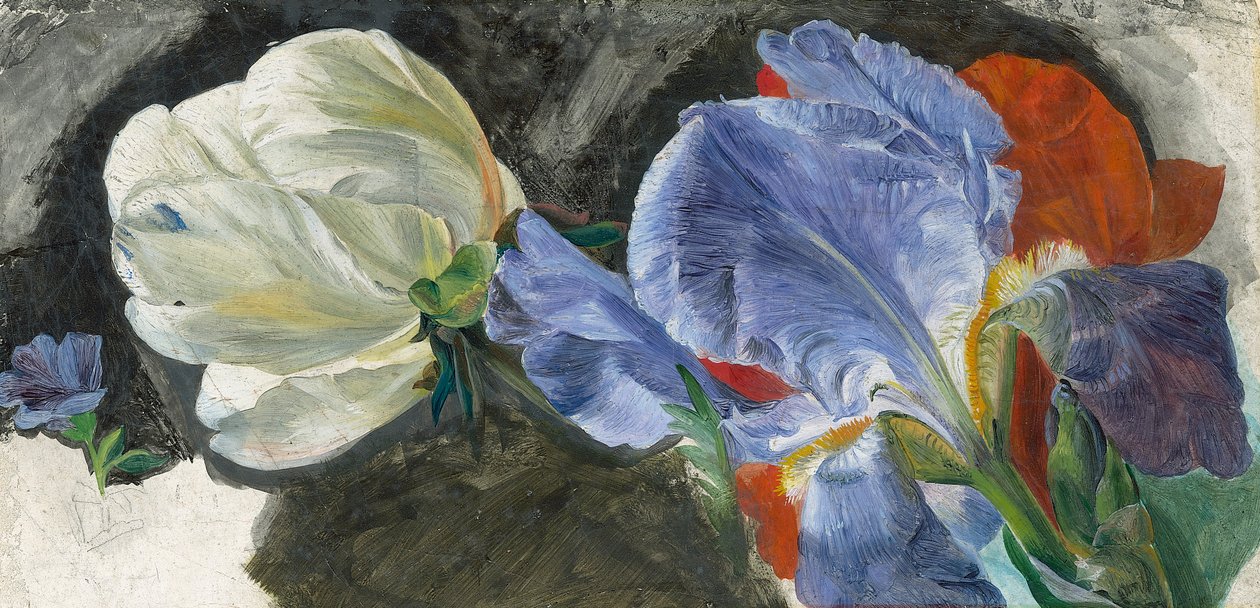 En studie av blommor (olja på papper) av Emily Stannard