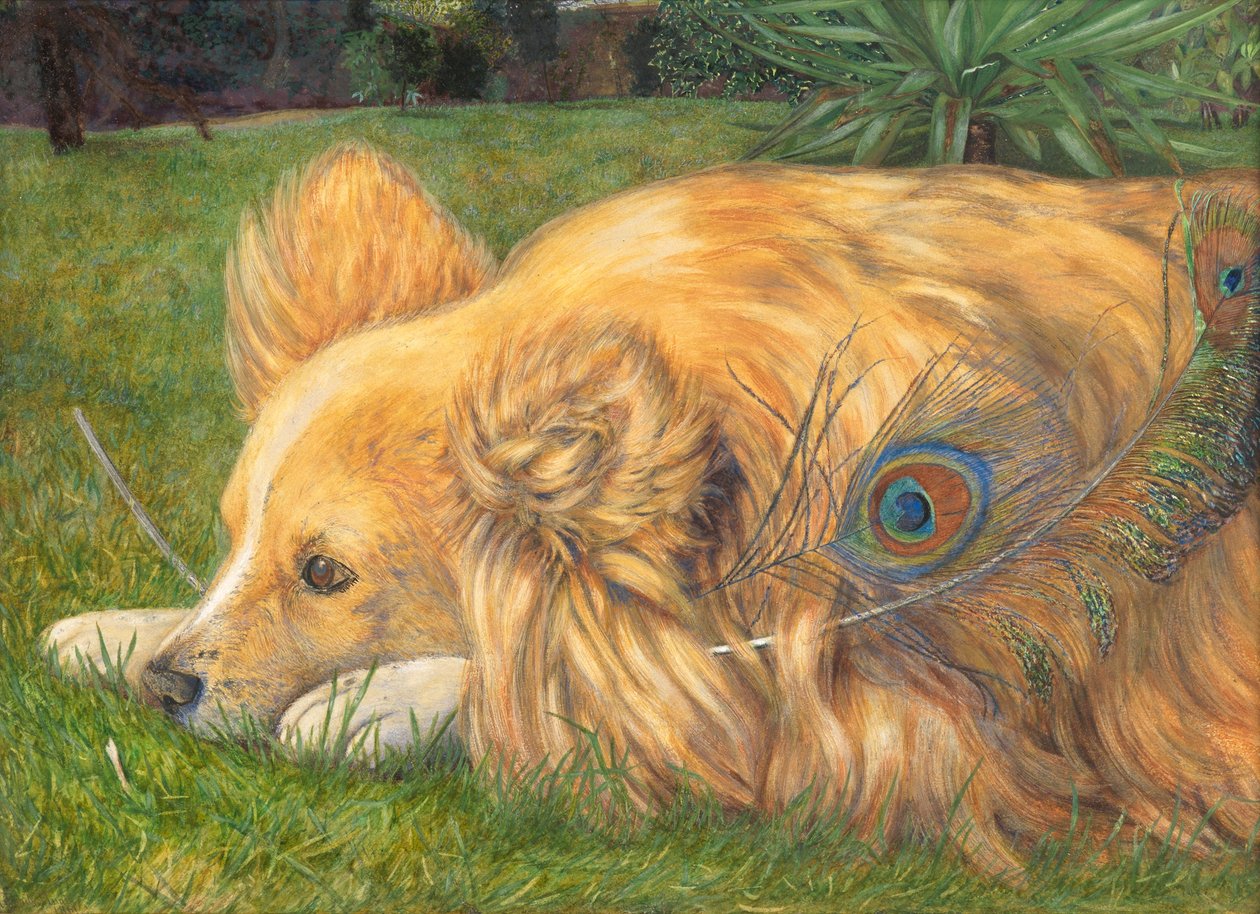 Svartsjuk Jessie, 1861 (wc över spår av penna förhöjda med kroppsfärg och skrapa ut) av Emily and Hunt, William Holman Hunt