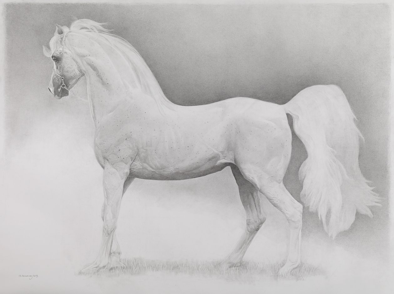 Rörlig bild, serie 2, 2013 (grafit på papper) av Emma Kennaway