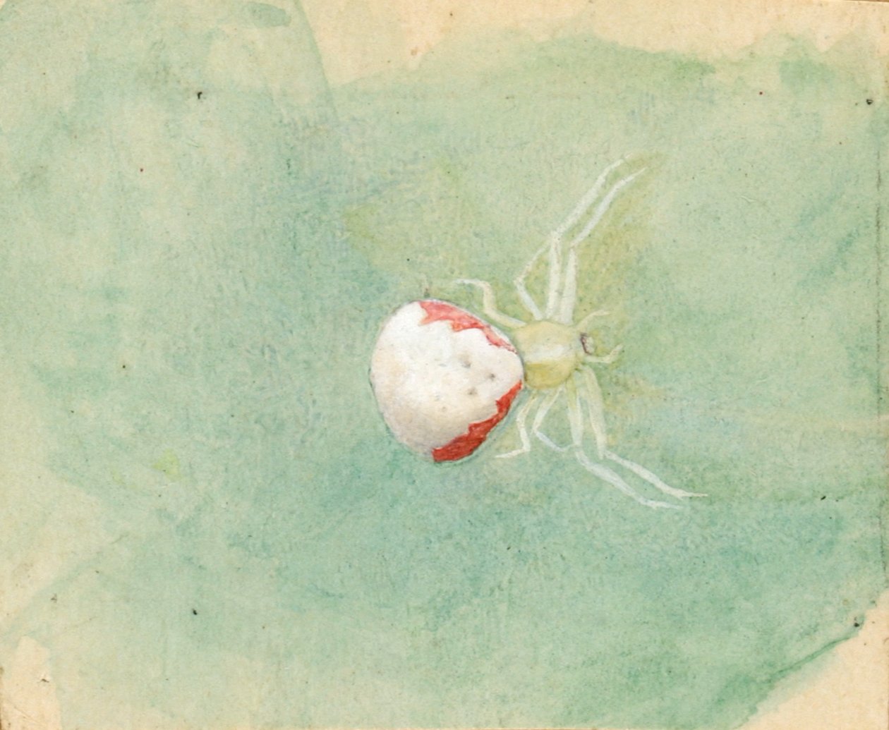 Porslin-vit spindel, sent 1800-tidigt 1900-tal. av Emma Beach Thayer