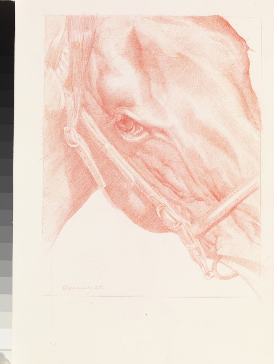 Portrait Head, 2012 (rödkrita på papper) av Emma Kennaway