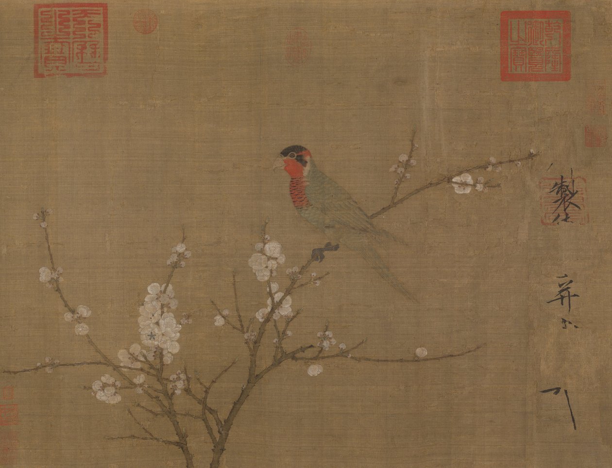 Femfärgad undulat på ett blommande aprikosträd av Emperor Huizong