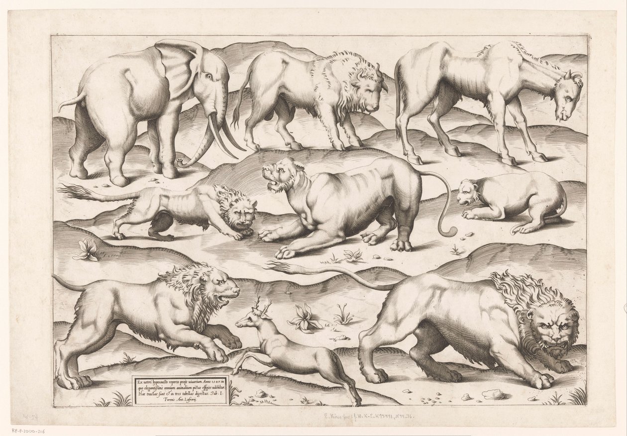 Nio vilda djur Djur efter antika väggmålningar (serietitel) Speculum Romanae Magnificentiae (serietitel) av Enea Vico (attributed to)