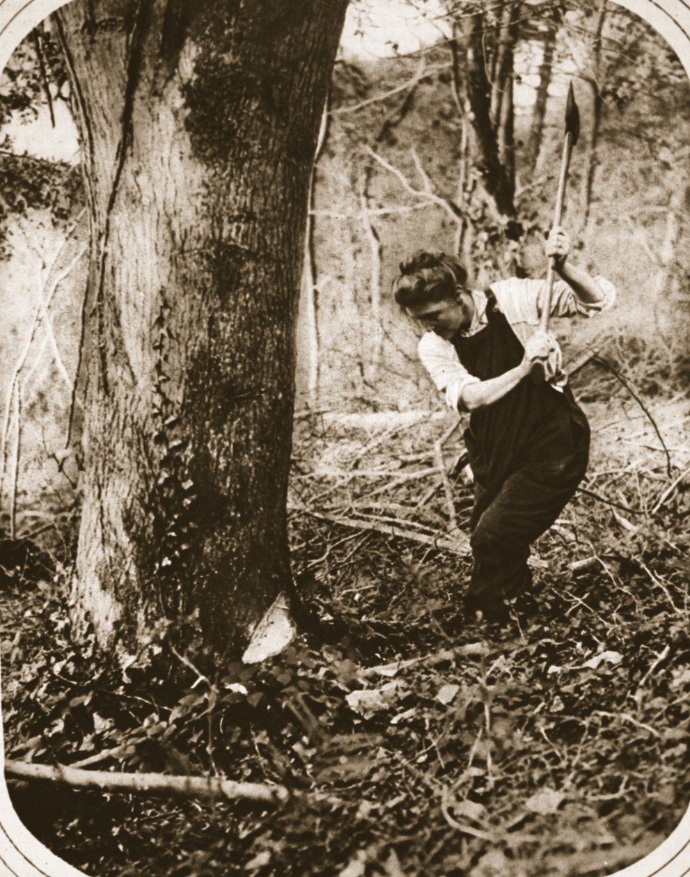En ansträngande kvinna-arbetare på Weston-Super-Mare; fälla träd i en Somerset-skog, illustration från The Illustrated War News, september 1916 (sepiafoto) av English Photographer