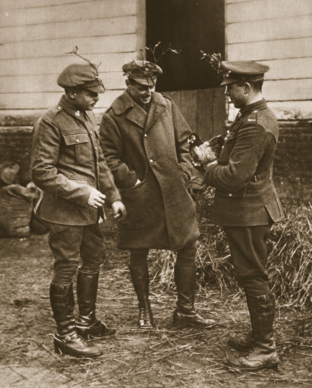 En typisk brittisk grupp: Mistelbärande soldater och en kyckling till jul, illustration från The Illustrated War News (sepiafoto) av English Photographer