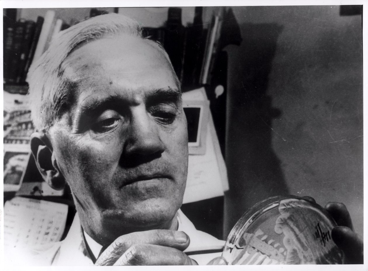 Alexander Fleming (1881-1955) c.1945 av English Photographer
