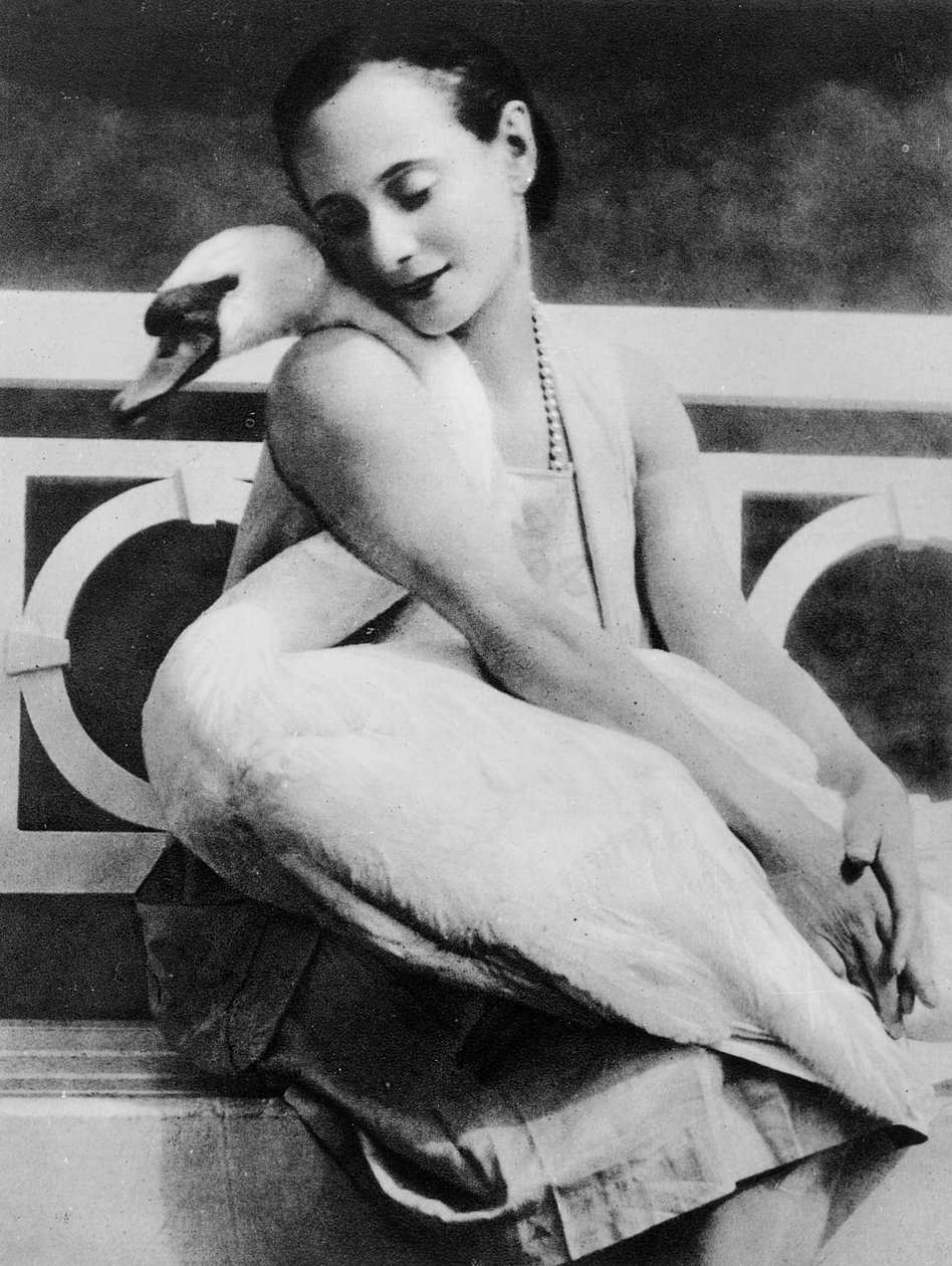Anna Pavlova med sin husdjursvan Jack, ca 1905 av English Photographer