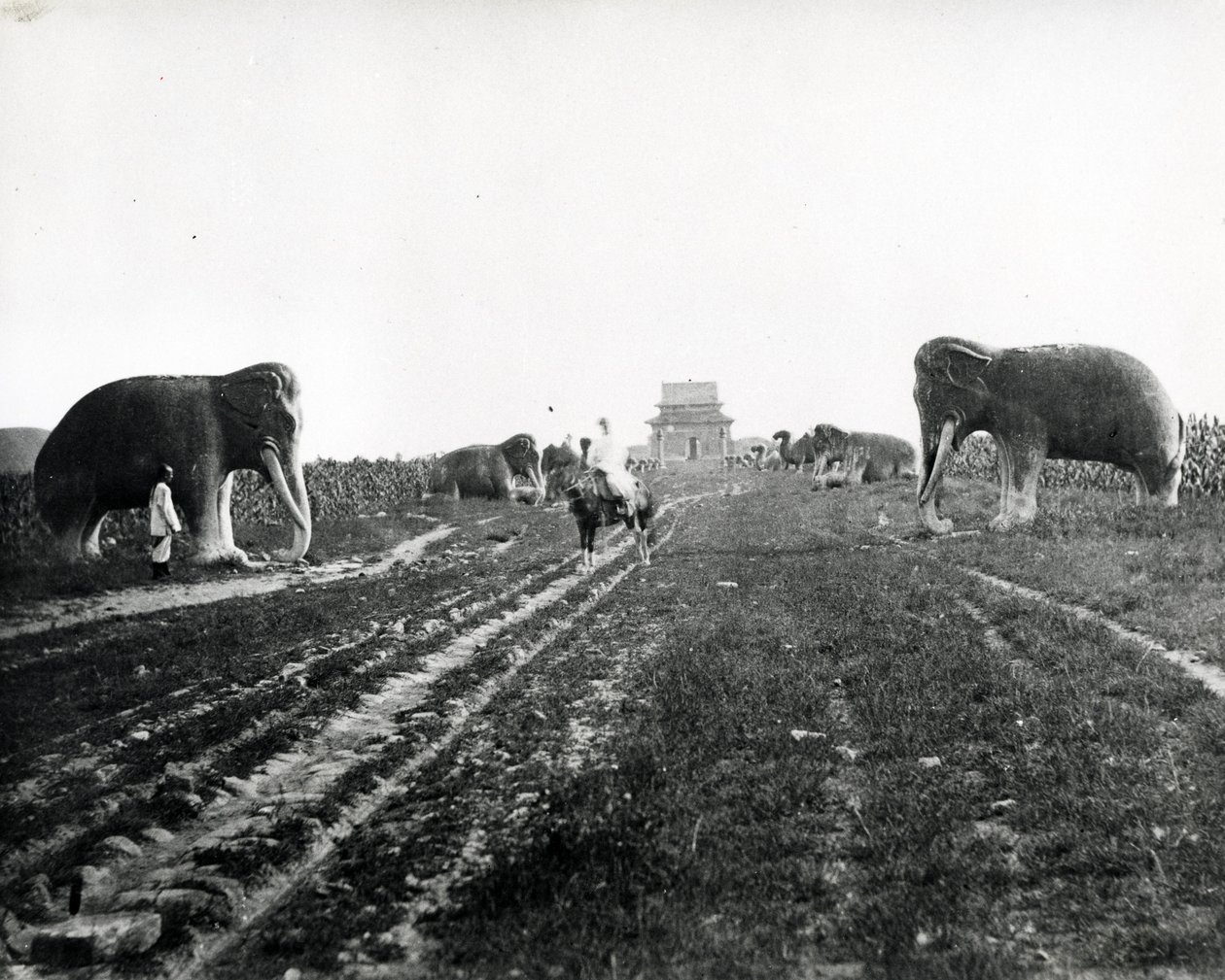 Avenue of Guardian Animals Leading to the Ming Tombs, Peking, ca 1868-70 av English Photographer