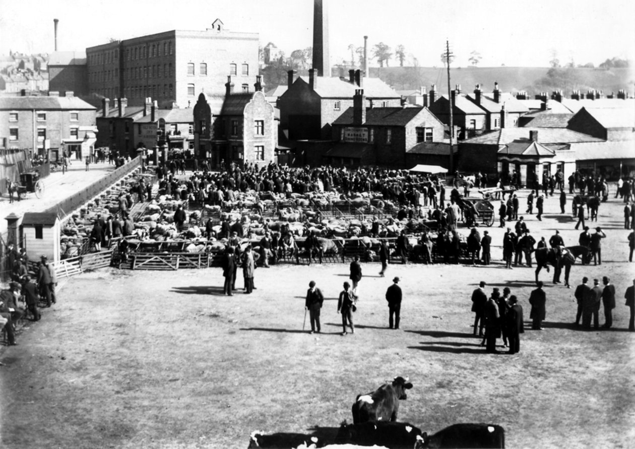 Boskaps- och grossistmarknad, Kidderminster, 1900 av English Photographer