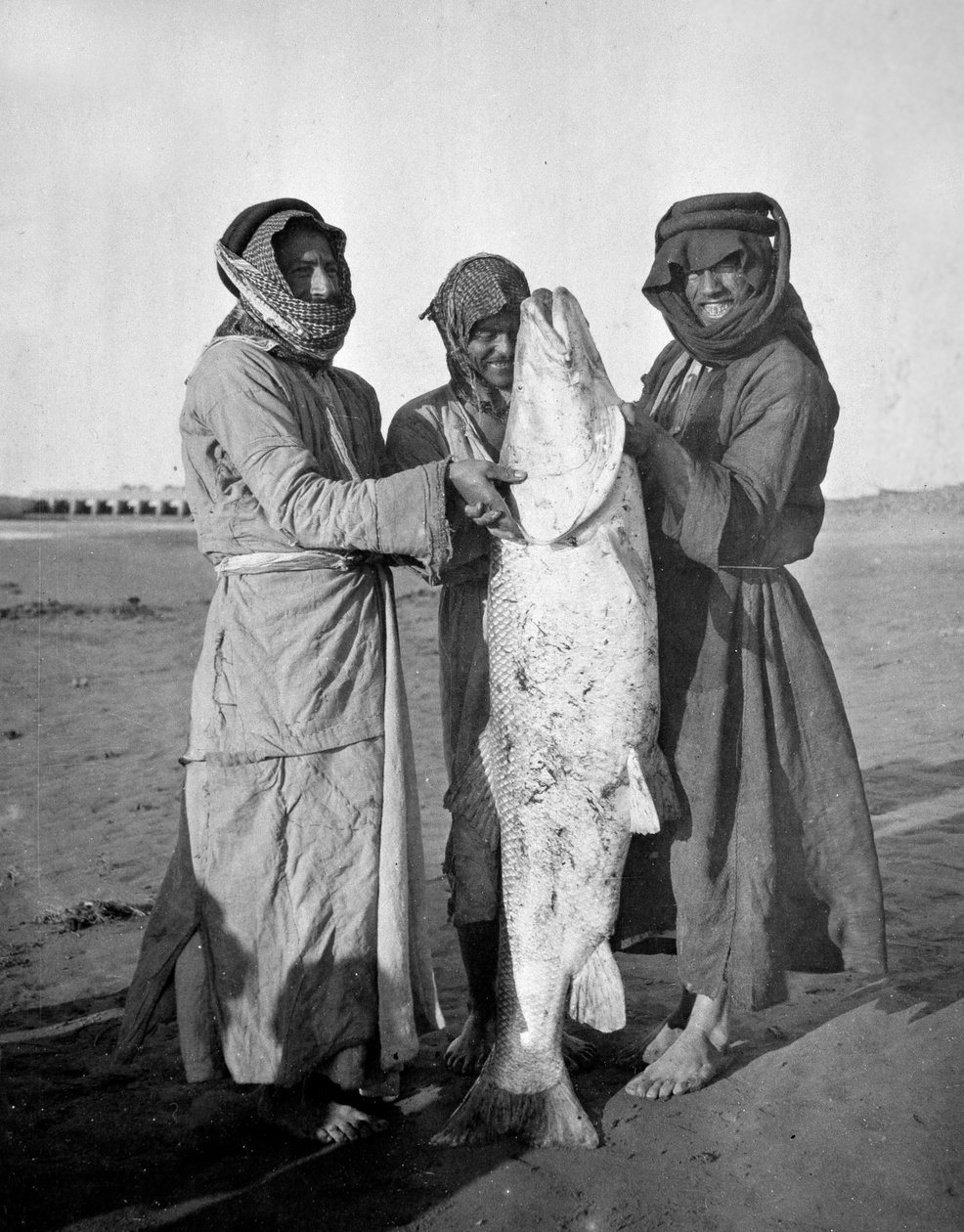 Civilaraber med stor fisk, 1914-18 av English Photographer