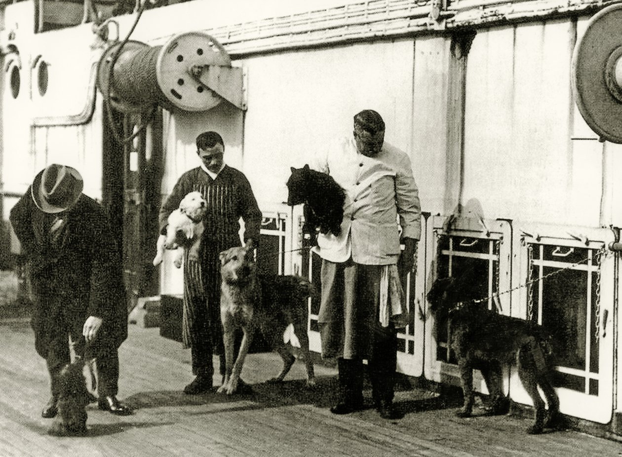 Hundar som tas om hand av medlemmar av besättningen på Titanic, 1912 av English Photographer