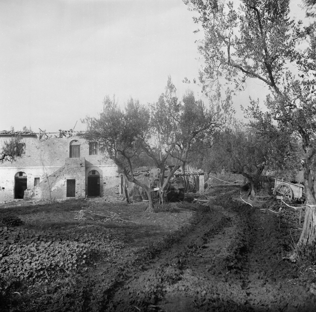 Ingång till körfältet, genom ett minfält, som leder upp till Licolle Ridge, ca 1944 av English Photographer