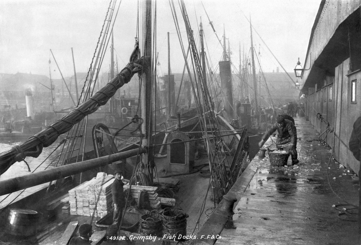 Fiskbryggor, Grimsby, tidigt 1900-tal av English Photographer