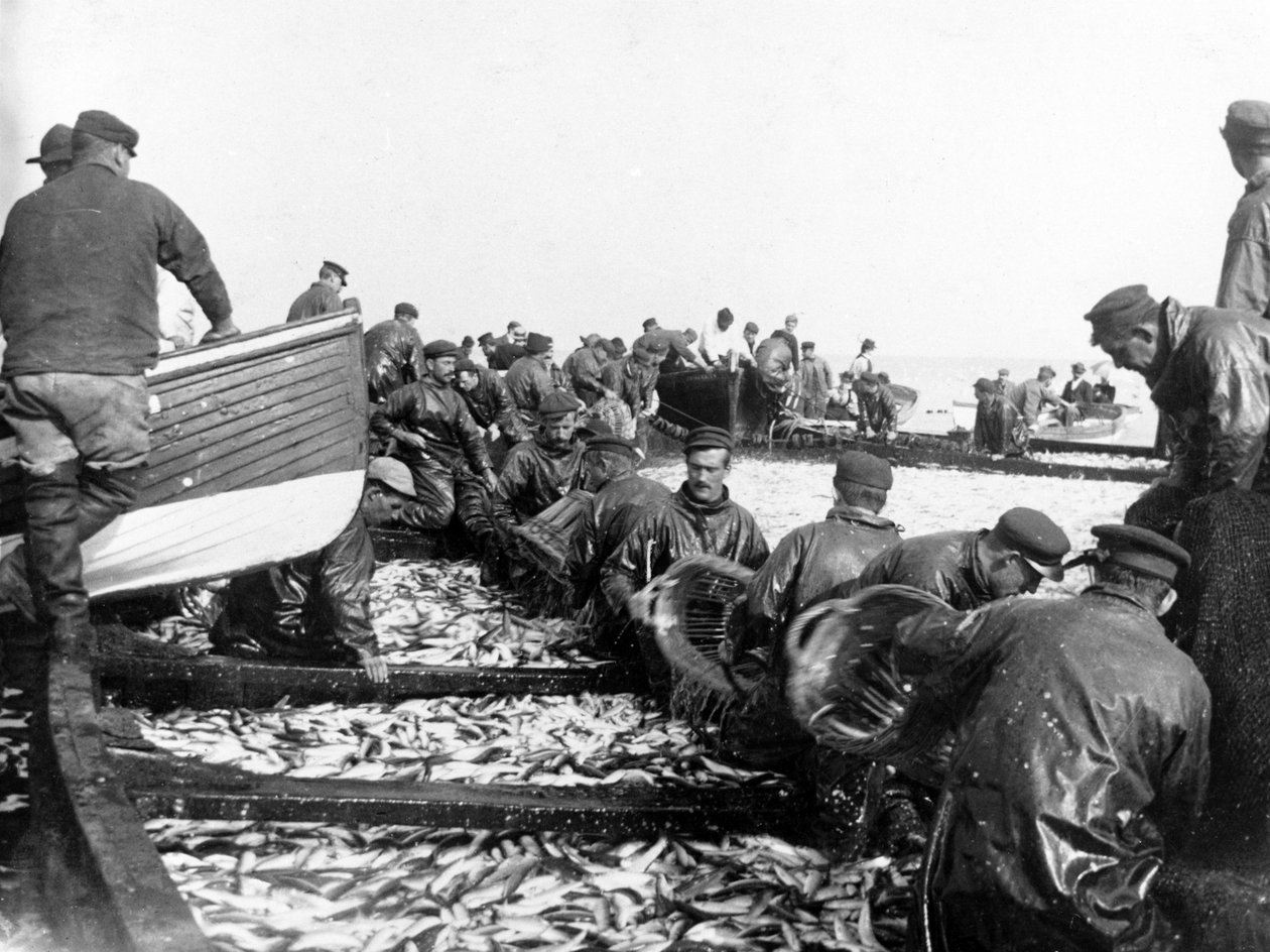 Fiskare med sin fångst, c.1890 av English Photographer