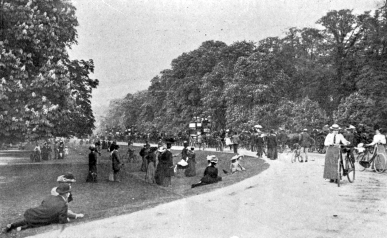 Översikt över Bushey Park, illustration från The King, 25 maj 1901 av English Photographer