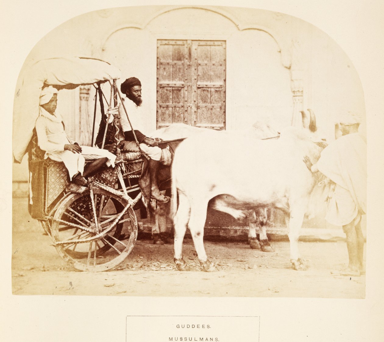 Guddees, Mussulmans, Rajpootana, från The People of India, av J. Forbes Watson, publicerad 1868 (albumtryck) av English Photographer