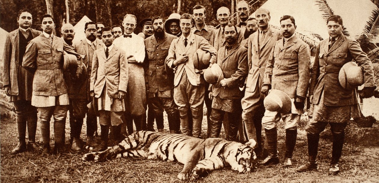 Kung Edward VIIIs första tiger, 1921 av English Photographer