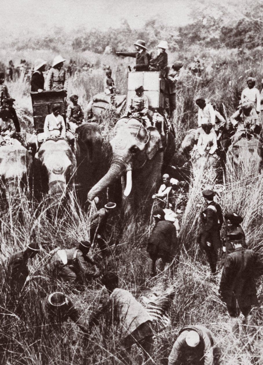 King George tigerjakt i Nepal av English Photographer