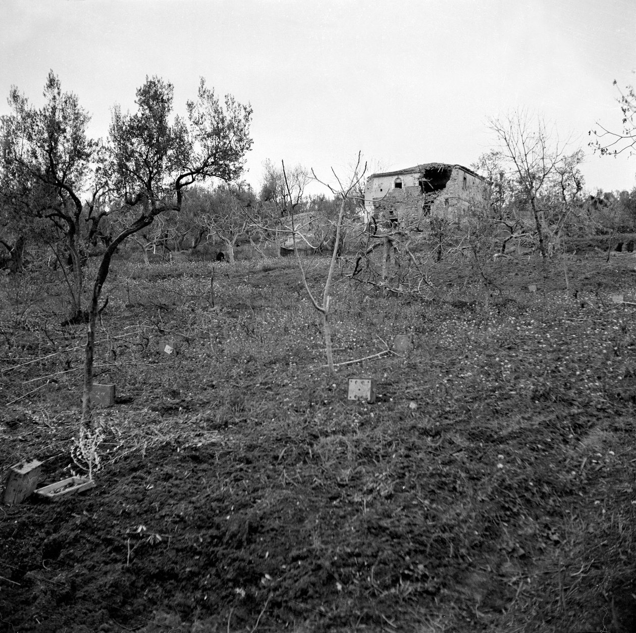 Minfält, nära toppen av Licolle Ridge, ca 1944 av English Photographer