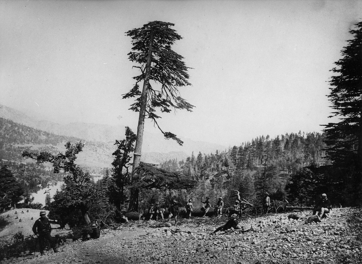 Infödda och brittiska soldater vilade under andra anglo-afghanska kriget, 1878-80 av English Photographer