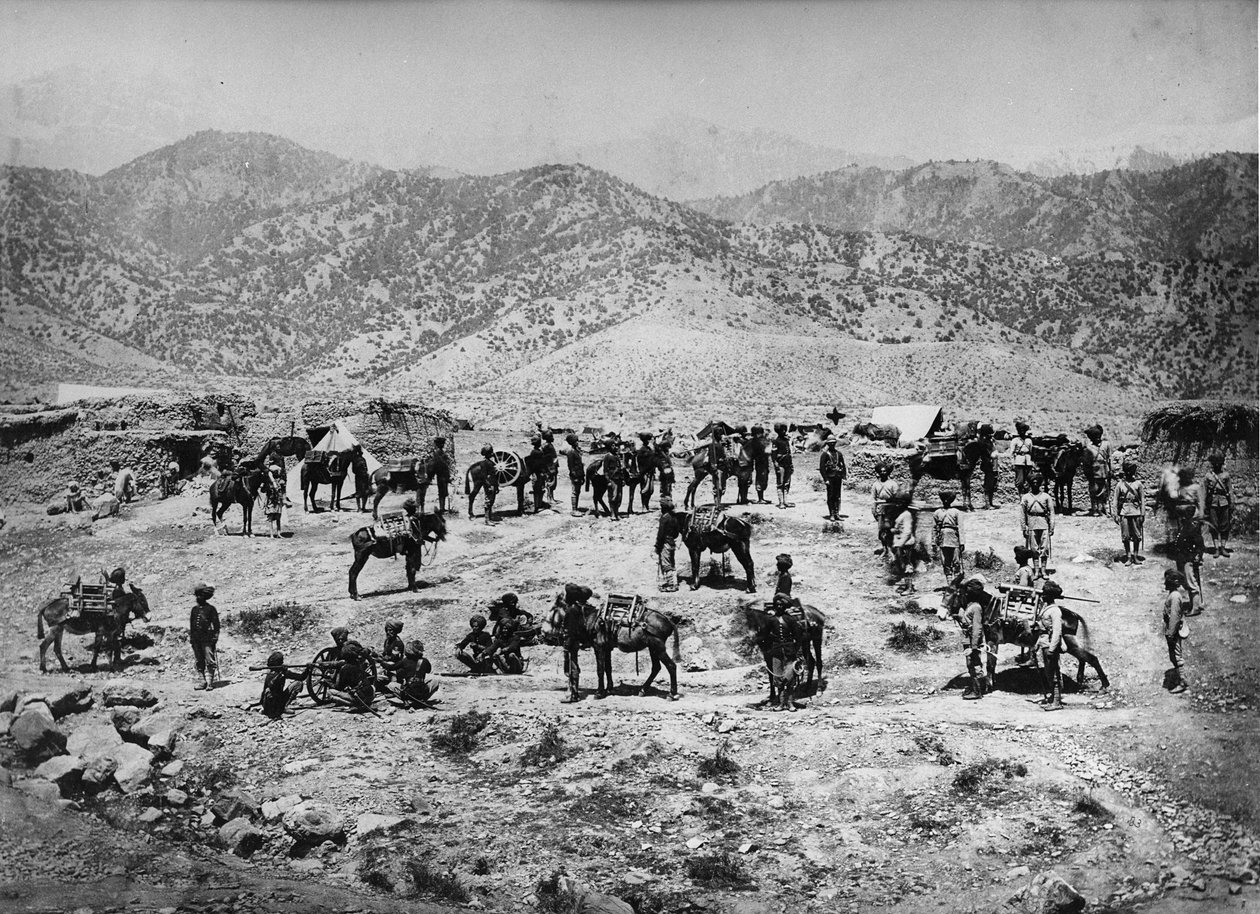 Inhemskt bergsbatteri, Punjab Frontier Force i Kuram Valley, 1878-80 av English Photographer