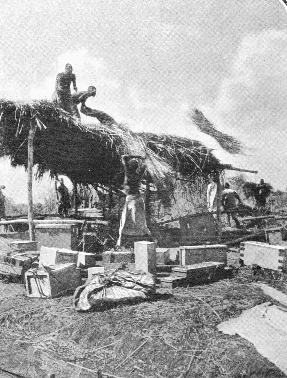 Natives Building a Rest-House, från en artikel med titeln To the Mountains of the Moon publicerad i The Graphic 27 oktober 1906 av English Photographer