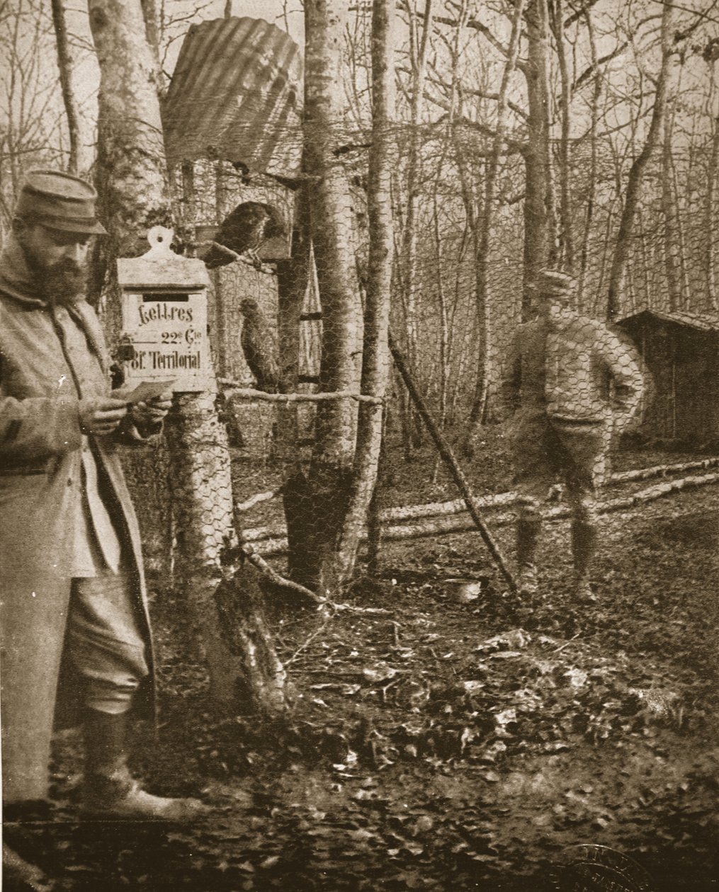 På den franska Lorraine-fronten: A Poilus Camp brevlåda och ormvråksmaskotar, illustration från The Illustrated War News (seppiafoto) av English Photographer