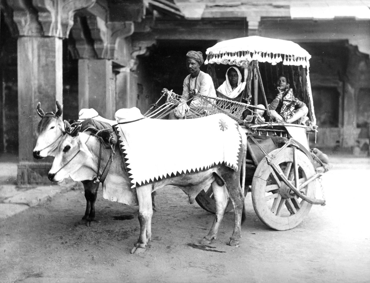 Ox-dragen vagn, Indien, ca 1907 av English Photographer