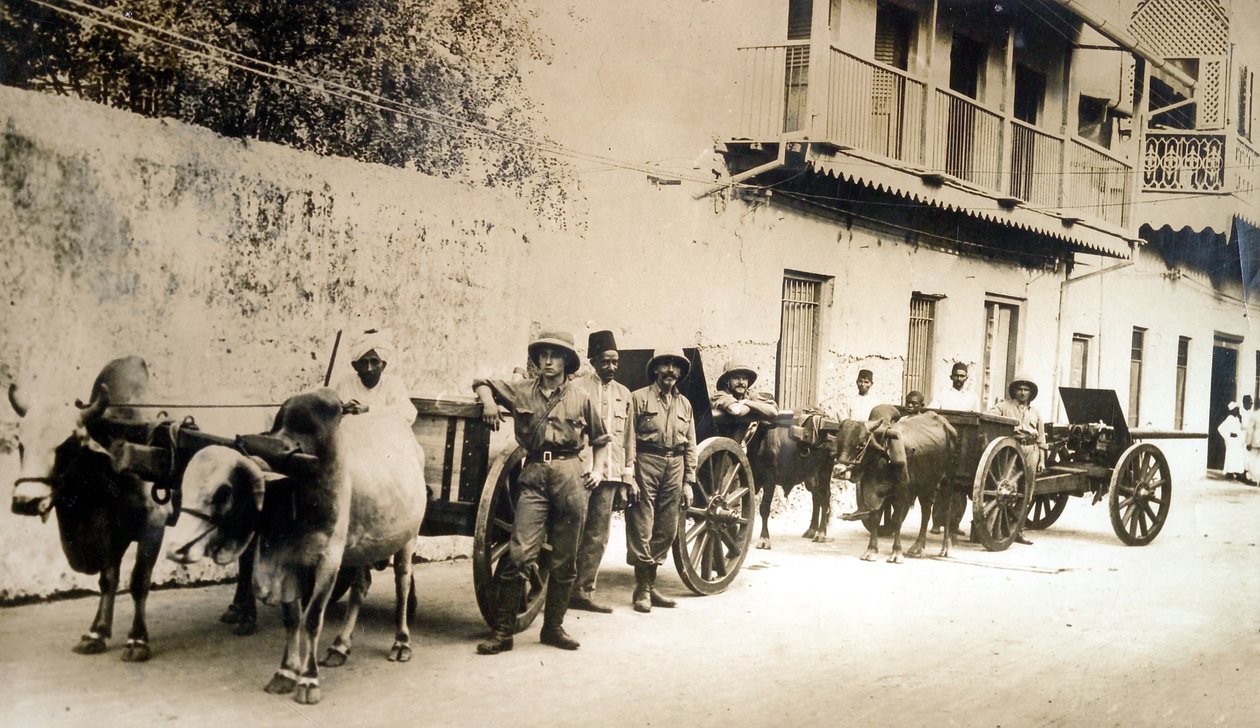 "Bärgade brittiska vapen fortfarande användbara", Zanzibar, 1914 av English Photographer