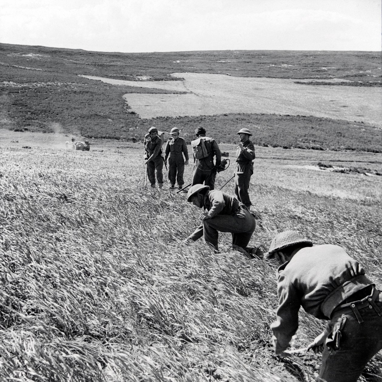 Sappers of the 237 Field Company, Royal Engineers, rensar ett minfält i efterdyningarna av First Armys attack mot Toukabeur och Chaouach, april 1943 av English Photographer