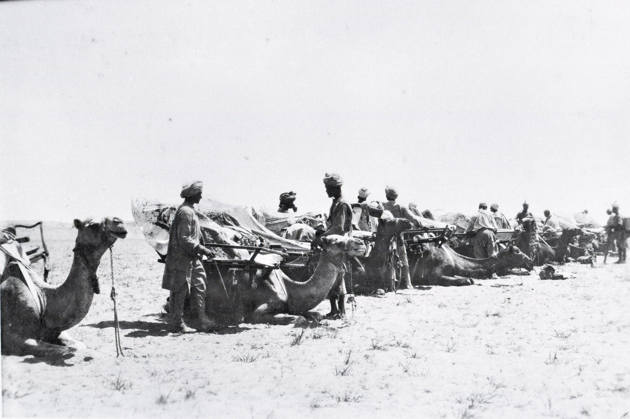 Soldater med kameler i Mesopotamien under första världskriget, från ett album sammanställt av Lt. Kindom av English Photographer