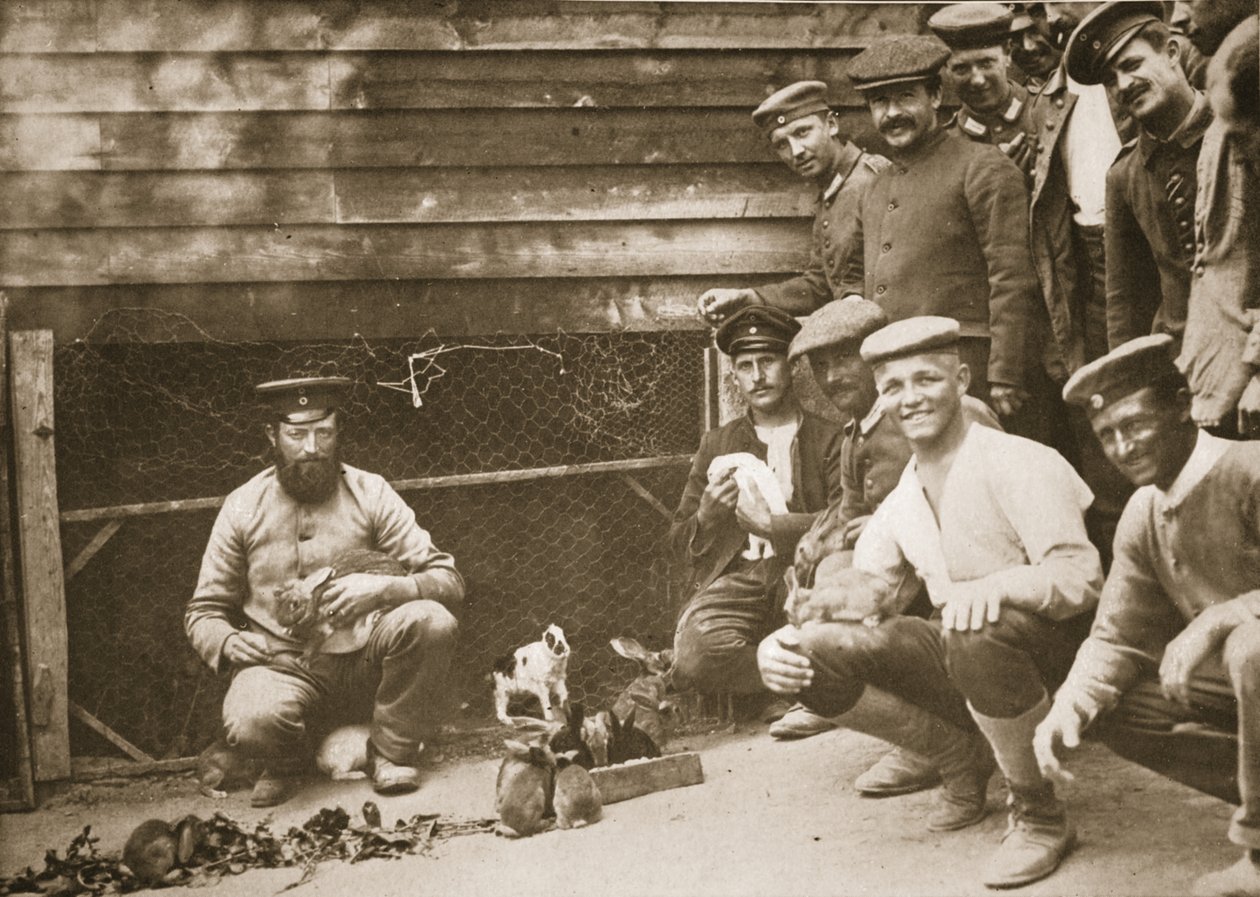 Some of the Prisoners Pets, Dorchester, illustration från tyska fångar i Storbritannien (fotogravyr) av English Photographer