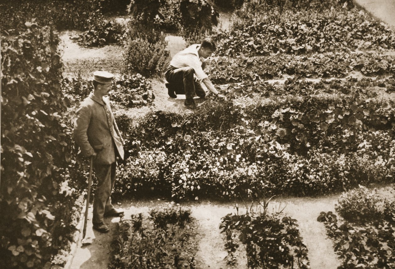 The Prisoners Gardens, Dorchester, illustration från tyska fångar i Storbritannien (fotogravyr) av English Photographer