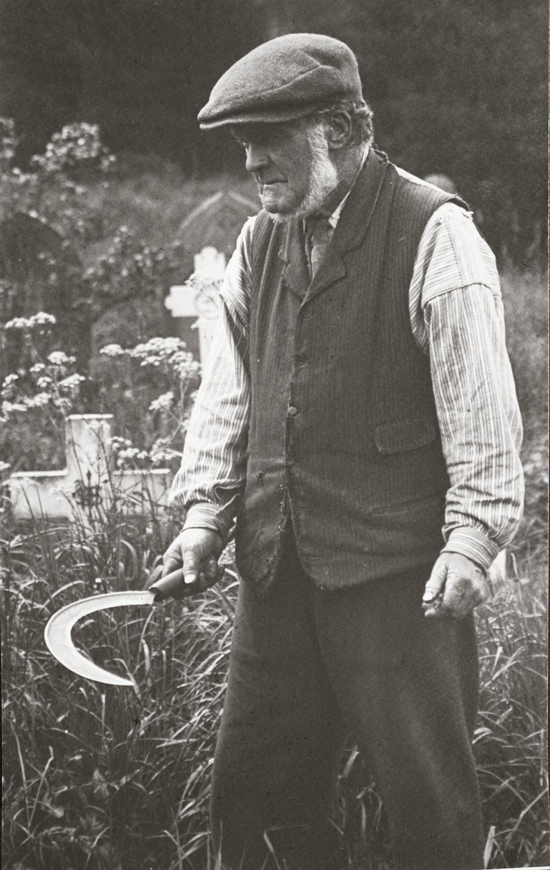 Trädgårdsmästaren av English Photographer