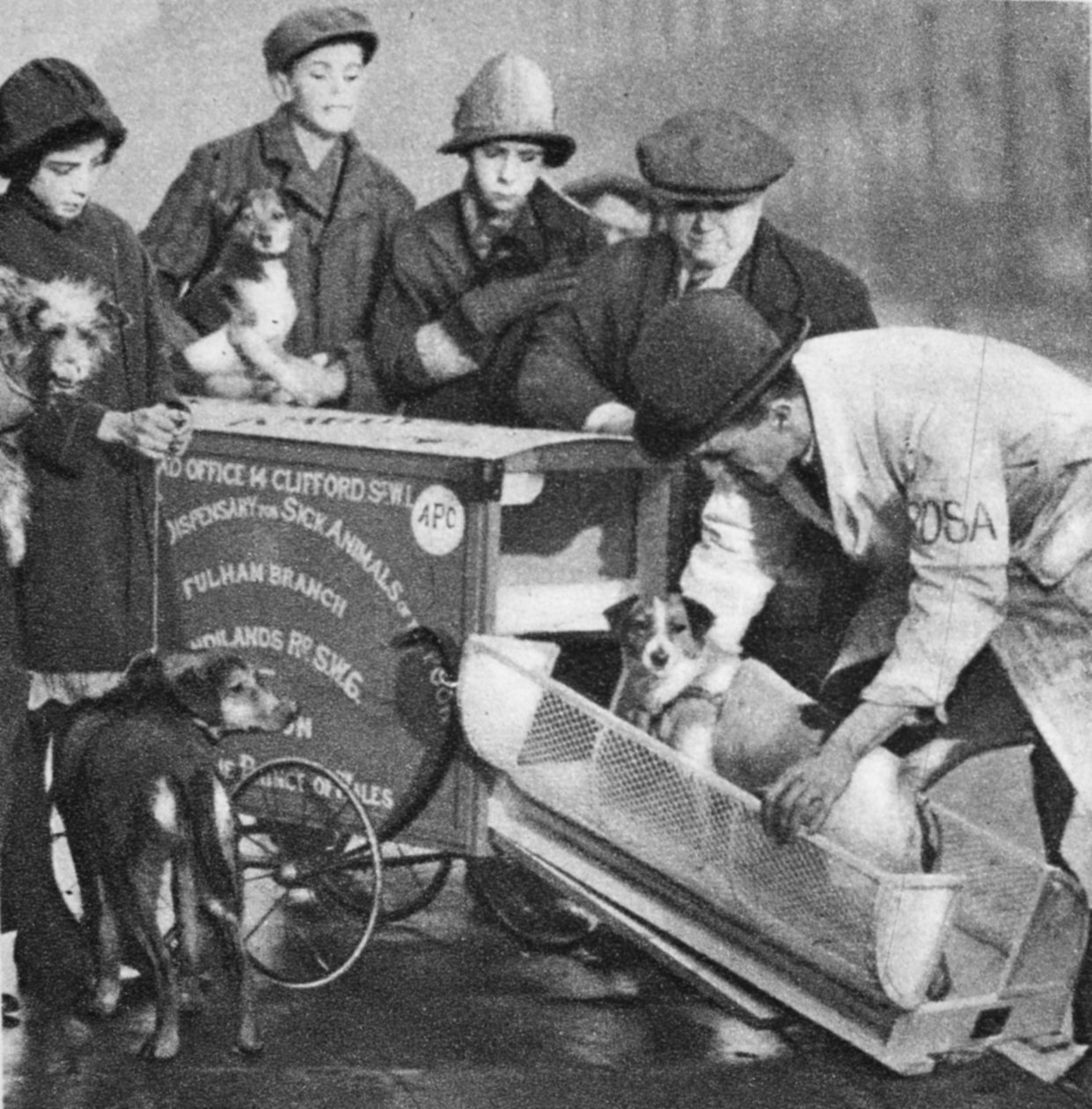 Veterinären från Fulham-avdelningen av The Peoples Dispensary for Sick Animals, från Wonderful London, publicerad 1926-27 (fotogravyr) av English Photographer