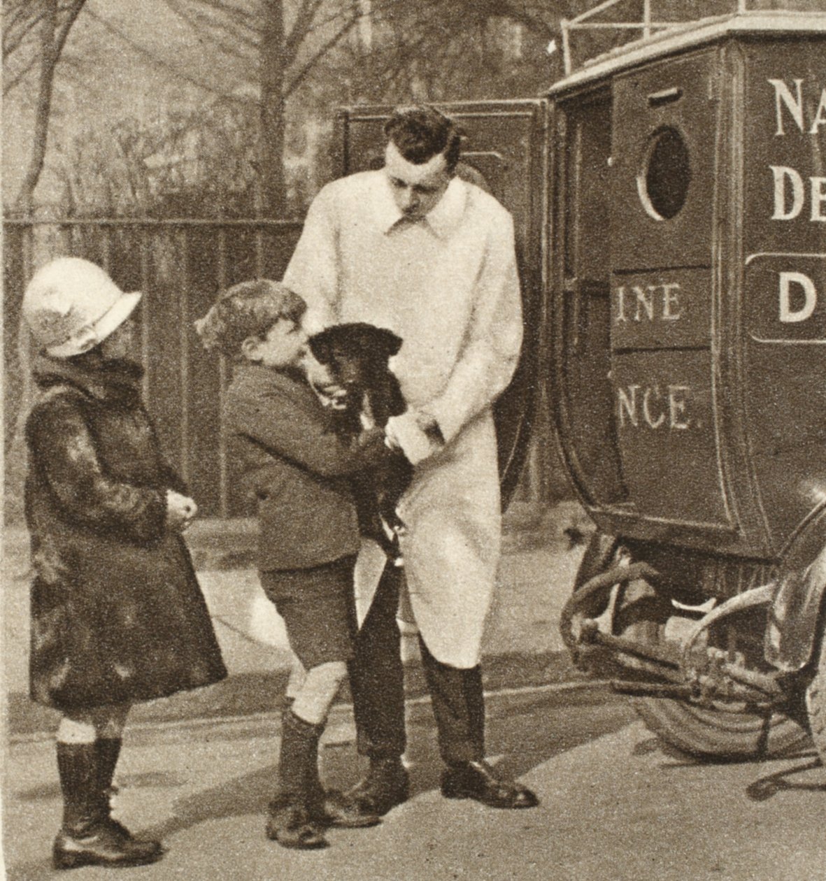 Veterinären från Fulham-avdelningen av The Peoples Dispensary for Sick Animals, från Wonderful London, publicerad 1926-27 (fotogravyr) av English Photographer