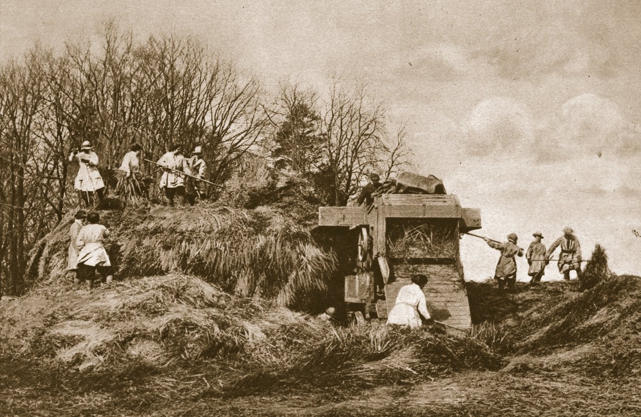 Utbildning av Womens Land Army i teori och praktik för alla grenar av jordbruket, 1914-19 av English Photographer