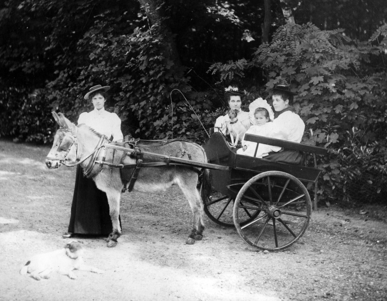 Viktoriansk åsnevagn, ca 1890 av English Photographer
