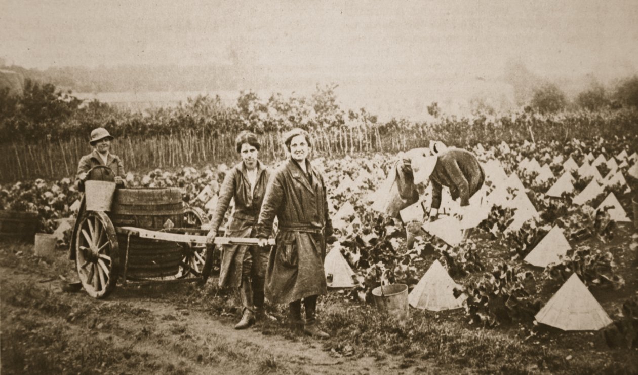 Kvinnor på landet: några intressanta scener i Evesham, från The Illustrated War News, 28 juni 1916 (sepiafoto) av English Photographer