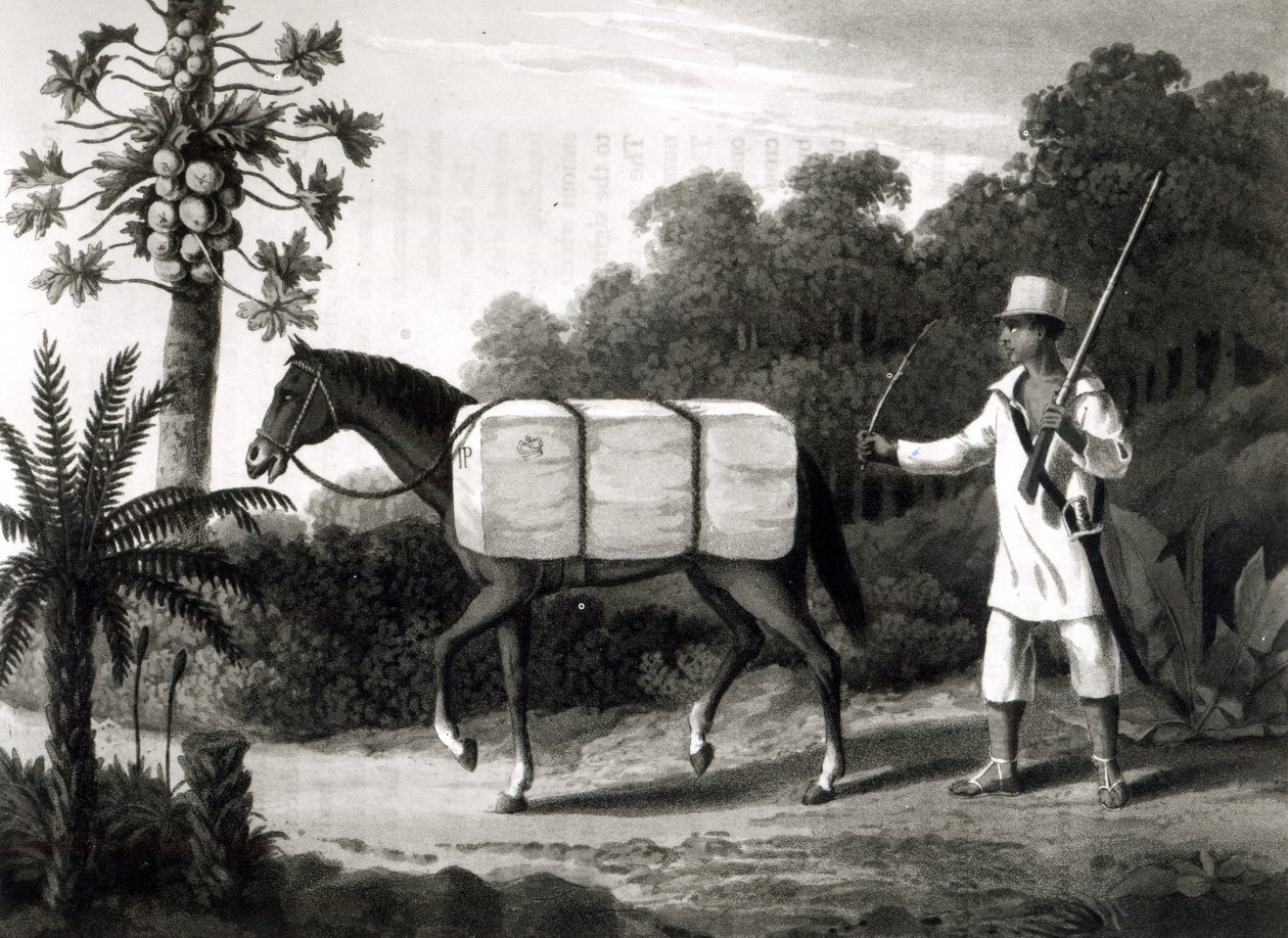 A Cotton Carrier, från 