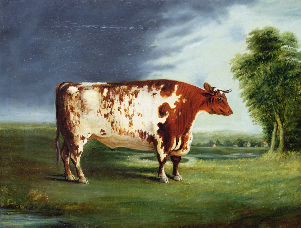 A Prize Bull, Possibly a Durham Shorthorn, c.1820 av English School
