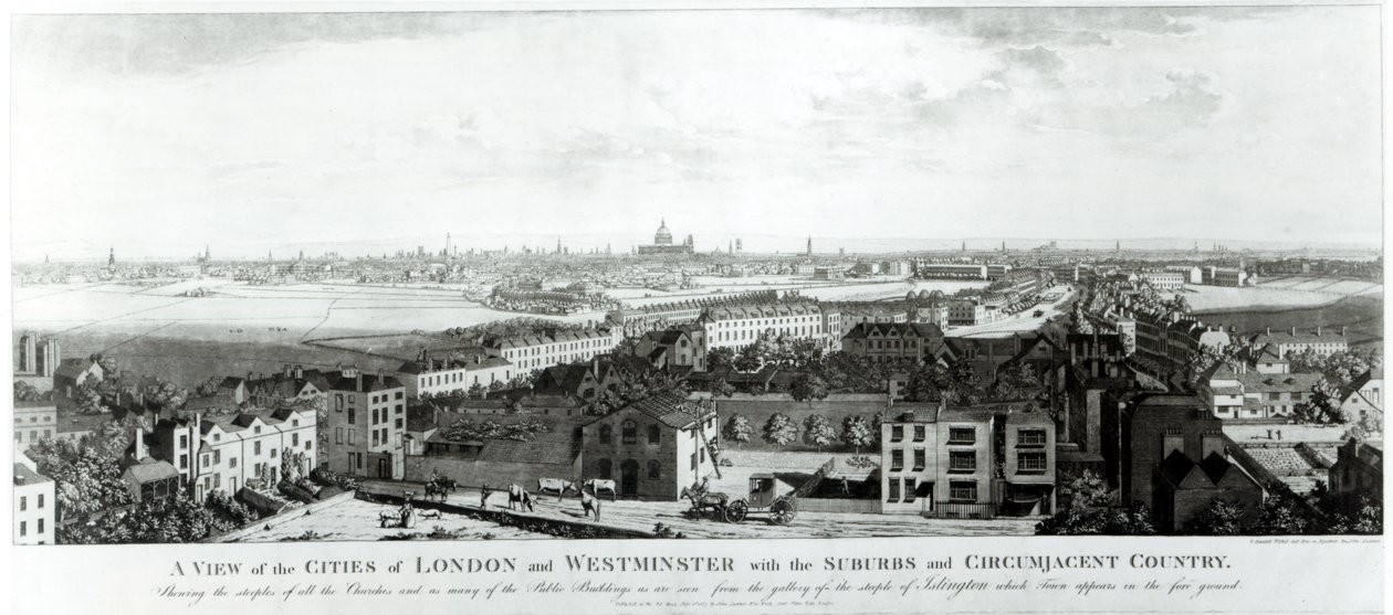 En utsikt över städerna London och Westminster med förorter och omgivande land, 1789 av English School