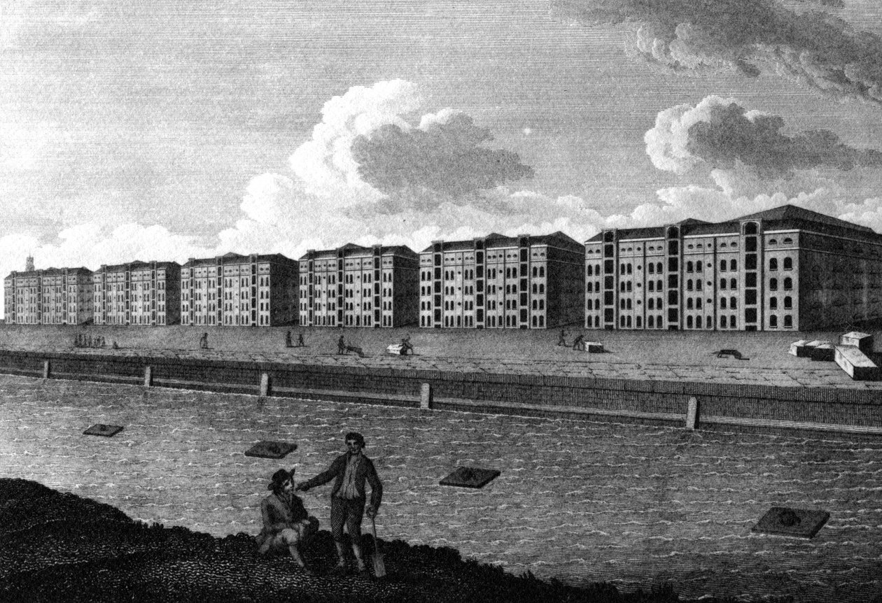 En utsikt över lagerbyggnaderna och West-India Dock, 1803 av English School